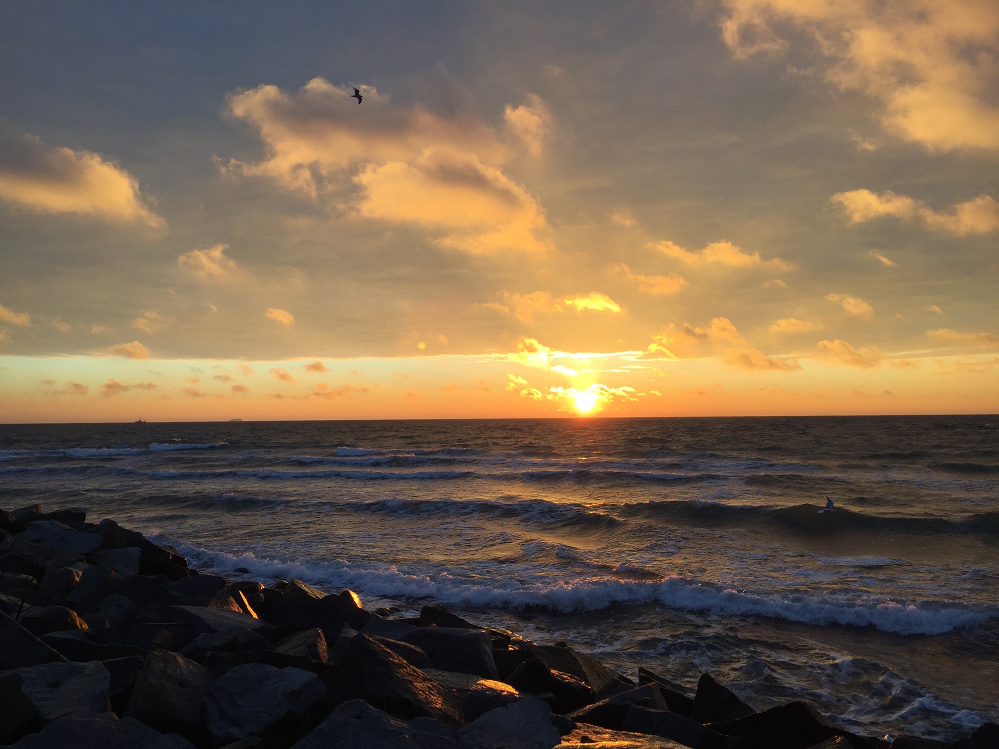 Impressionen