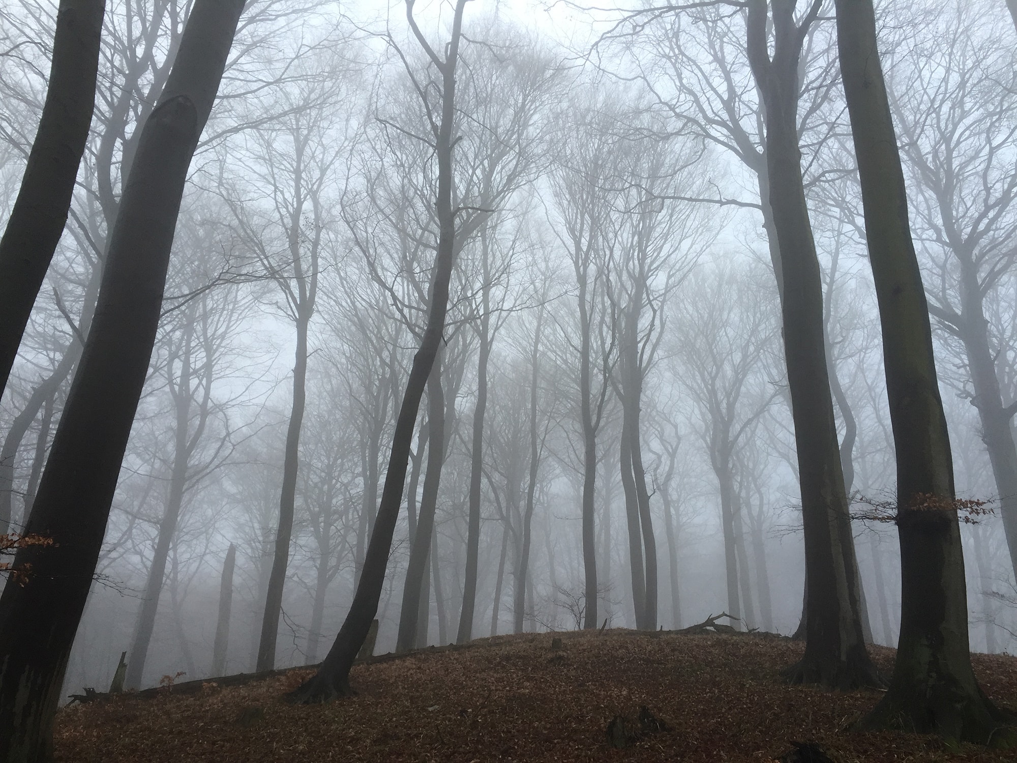 Impressionen