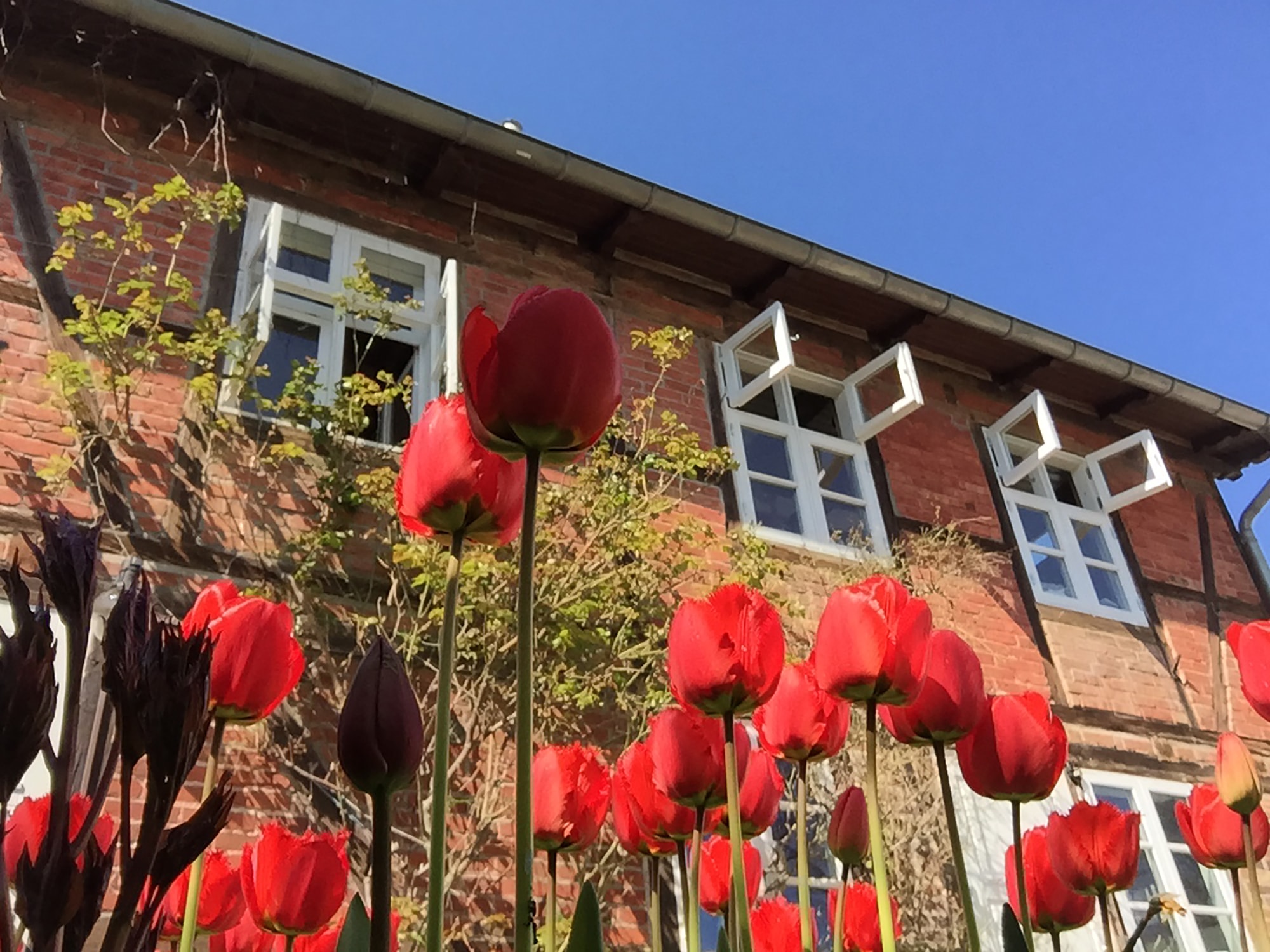 Impressionen