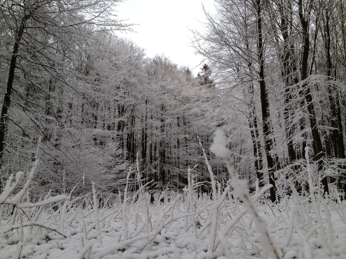 Impressionen