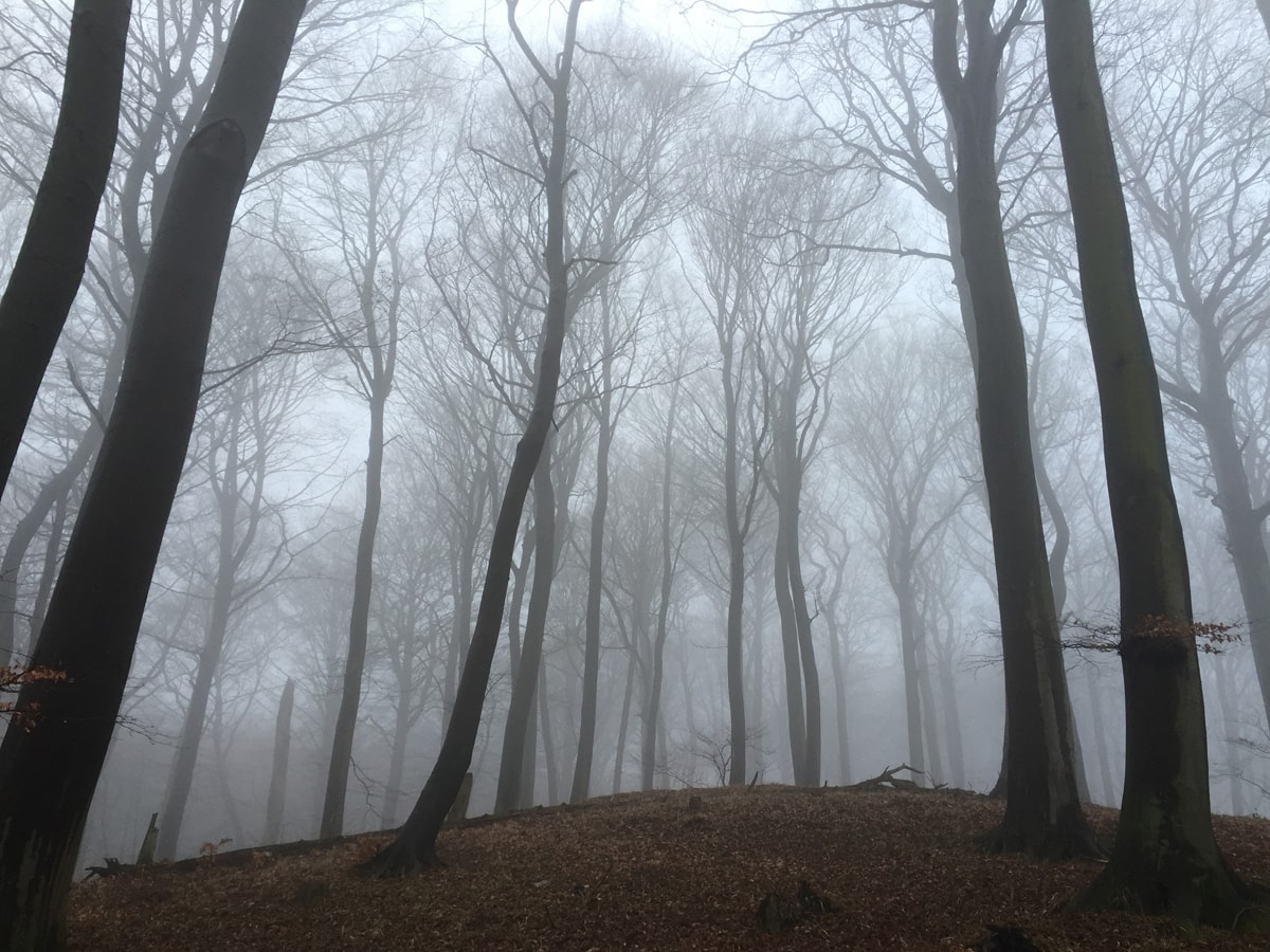 Impressionen