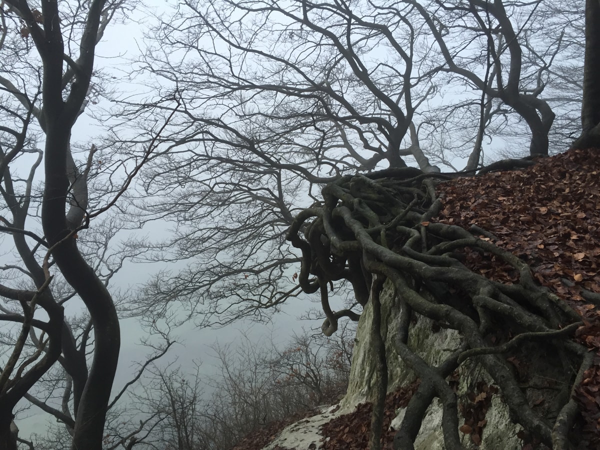 Impressionen