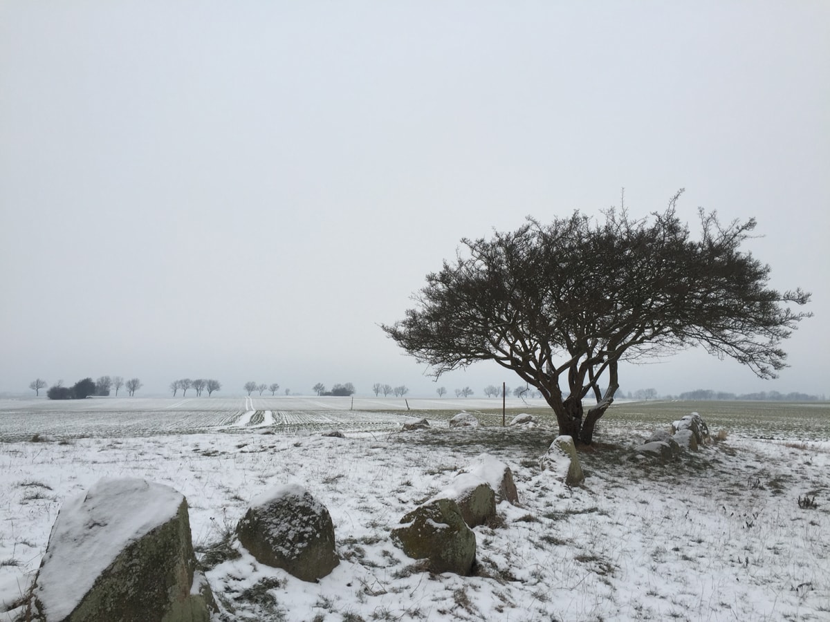 Impressionen