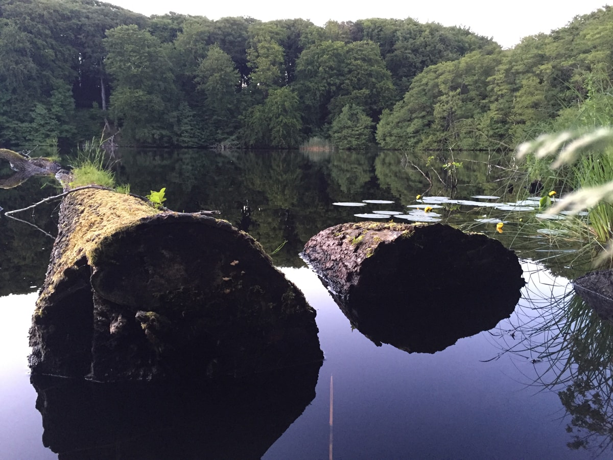 Impressionen