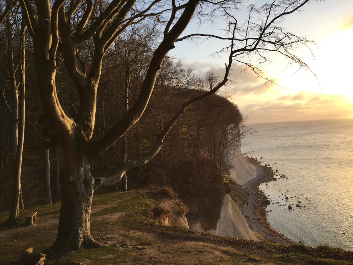 Impressionen