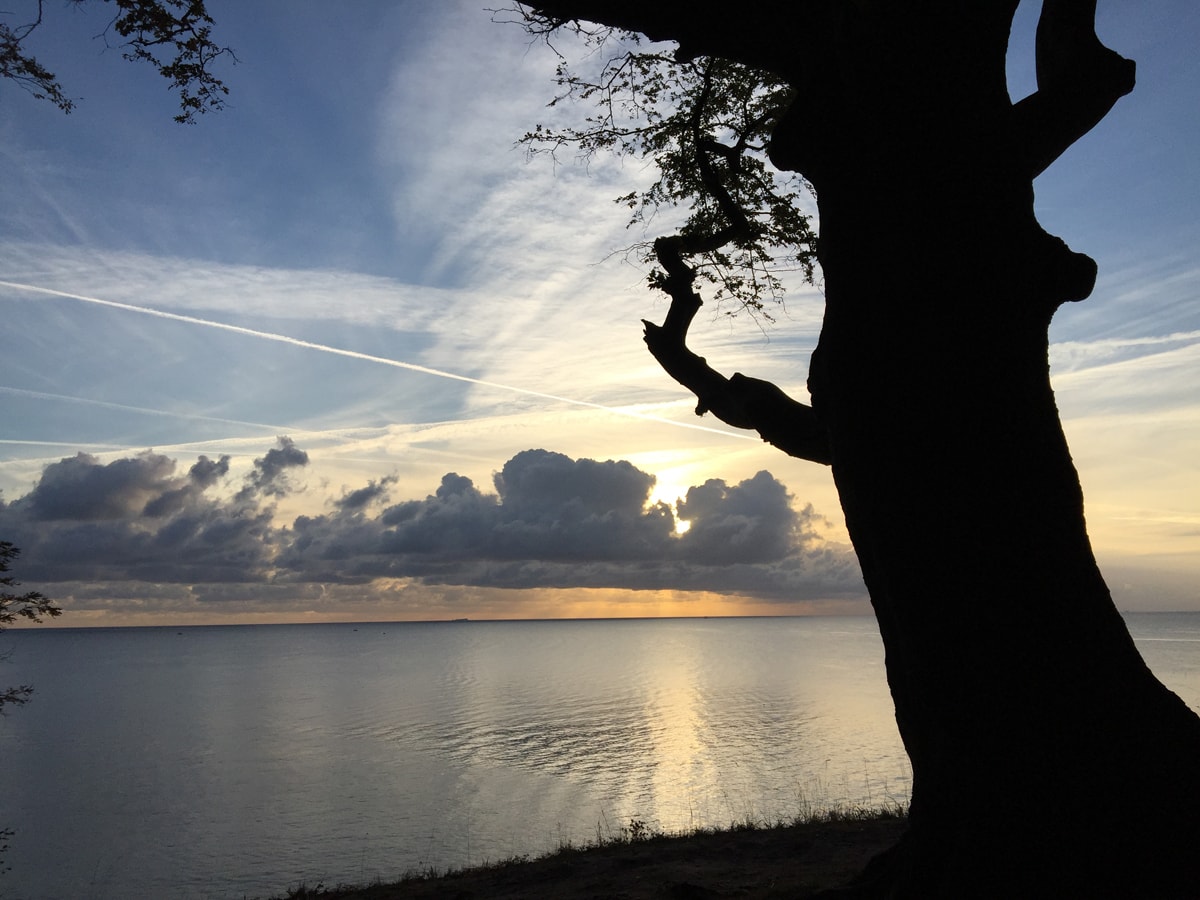 Impressionen